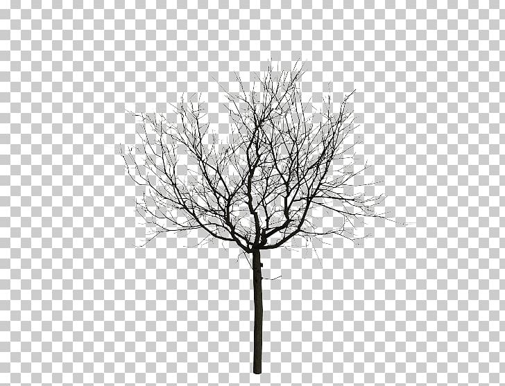 Stock Photography Light Tree Twig Wire PNG, Clipart, Black And White, Branch, Drawing, Forest, Fotolia Free PNG Download