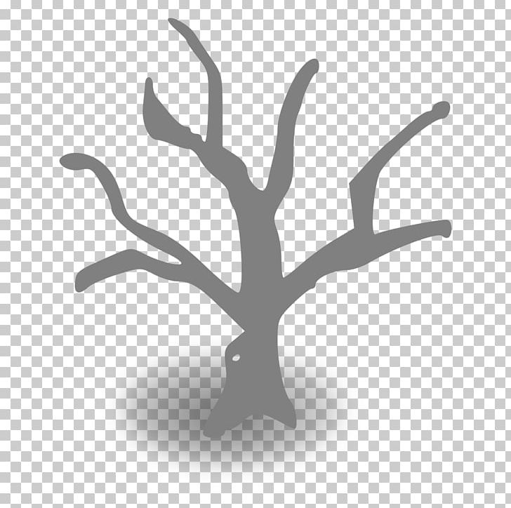 Branch Tree Trunk PNG, Clipart, Black And White, Blog, Branch, Document, Line Free PNG Download