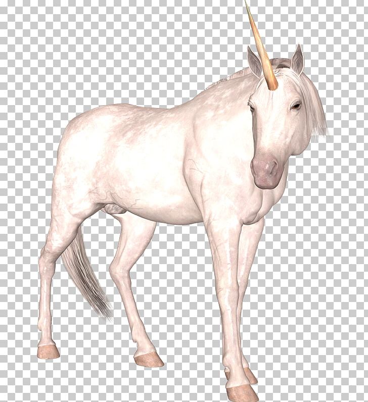 Mule Unicorn Pony Mane Donkey PNG, Clipart, Bridle, Donkey, Fantasy, Fictional Character, Foal Free PNG Download