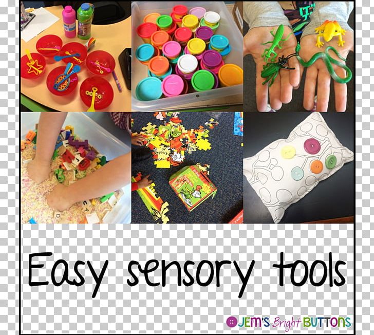 Sensory Nervous System Primary Sensory Areas Classroom Sensory Room PNG, Clipart, Analyser, Cake Decorating, Classroom, Confectionery, Food Free PNG Download