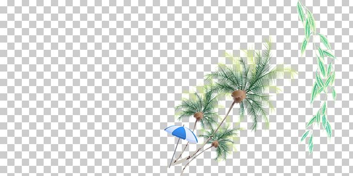 Graphic Design Trackie Chan Pattern PNG, Clipart, Angle, Beach, Beach Umbrella, Branch, Branches Free PNG Download