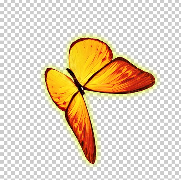 Monarch Butterfly Icon PNG, Clipart, Animal, Butterflies And Moths, Butterfly, Computer Wallpaper, Download Free PNG Download