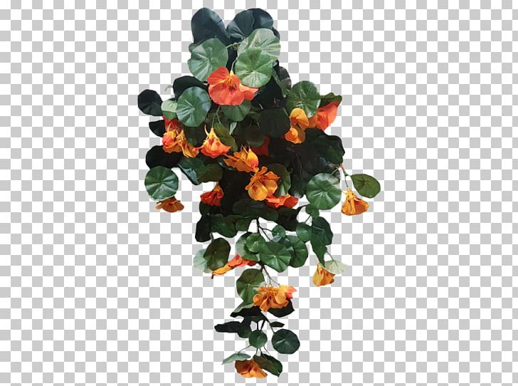 Nasturtium Shrub Plant Leaf Bush PNG, Clipart, Bush, Flower, Food Drinks, Google, Google Search Free PNG Download