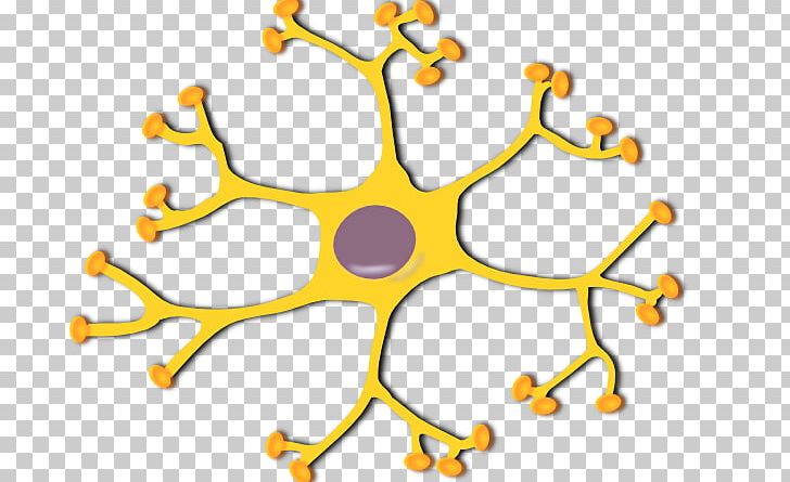 The Neuron Motor Neuron PNG, Clipart, Area, Body Jewelry, Brain, Cell, Computer Icons Free PNG Download