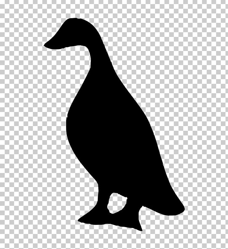 Duck Bird Silhouette Goose PNG, Clipart, Anatidae, Animals, Artwork, Beak, Bird Free PNG Download