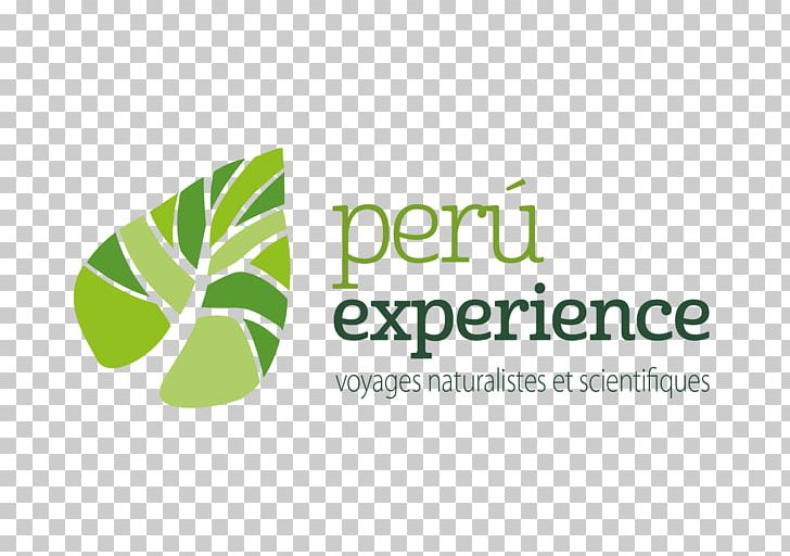Ecuador Experience PNG, Clipart, Brand, Cia, Destination, Ecuador, Experience Free PNG Download