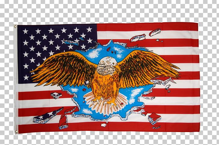 Flag Of The United States National Flag Flag Of India Flag Of France PNG, Clipart, 90 X, Bird Of Prey, Eagle, Flag, Flag Of Arizona Free PNG Download
