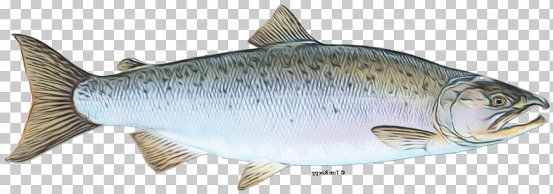 Oily Fish 09777 Bony Fishes Sardine Milkfish PNG, Clipart, Bony Fishes, Domestic Yak, Energy, Fish, Fish Products Free PNG Download