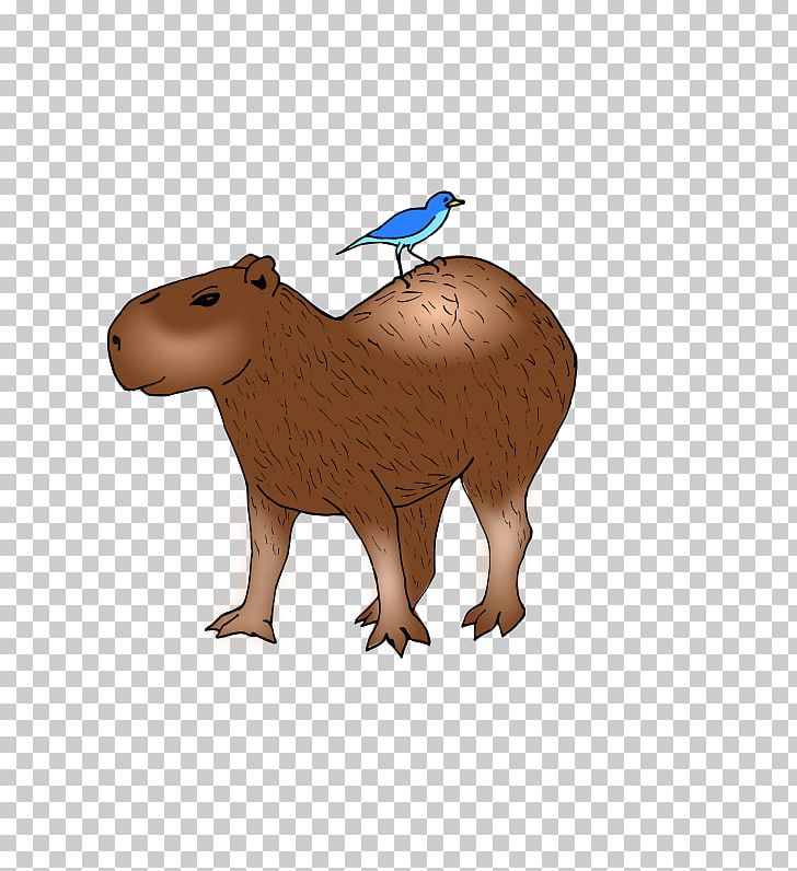 Capybara Beaver PNG, Clipart, Animal Figure, Animals, Aquatic Mammal, Bear, Beaver Free PNG Download