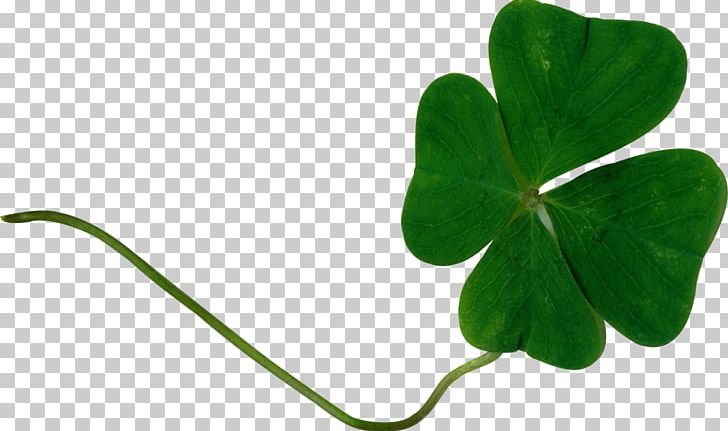 Saint Patrick's Day Graphic Design Shamrock PNG, Clipart, Blog, Christianity, Graphic Design, Grass, Holiday Free PNG Download