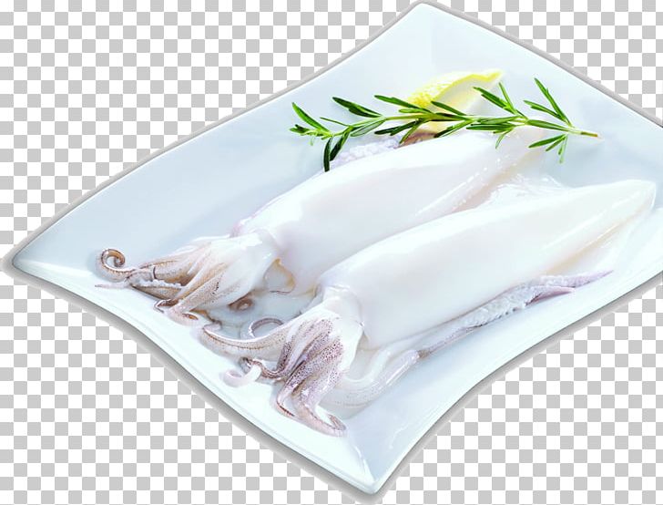 Squid As Food Fish Seafood PNG, Clipart, Animals, Animal Source Foods, Clean, Company, Dishware Free PNG Download