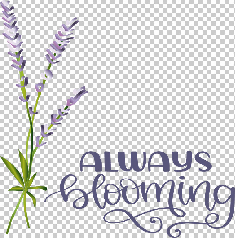Floral Design PNG, Clipart, Cut Flowers, Floral Design, Flower, Lavender, Lilac Free PNG Download