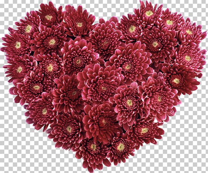 Blog Heart Internet Forum Yandex PNG, Clipart, Animaatio, Annual Plant, Aster, Blog, Chrysanths Free PNG Download