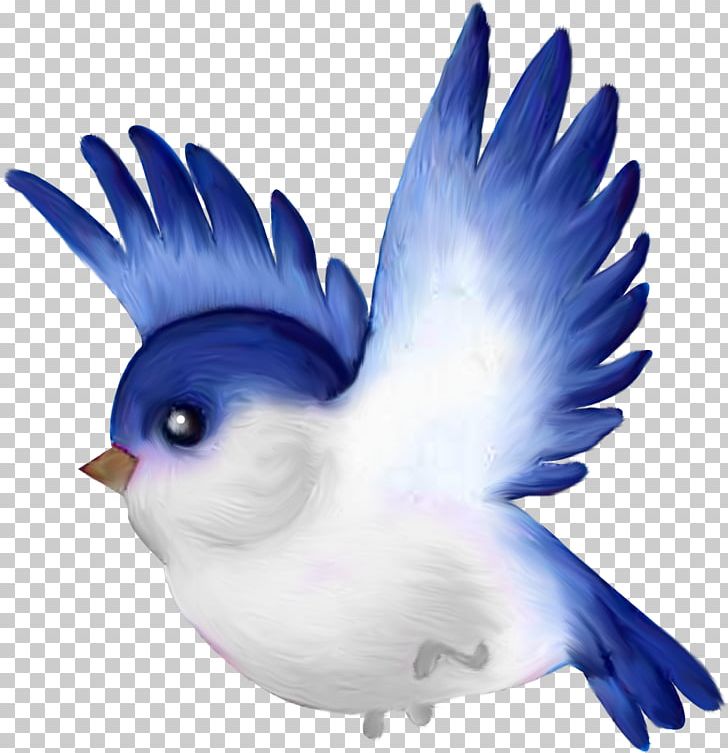 Lovebird Parrot PNG, Clipart, Animals, Animation, Beak, Bird, Bird Flight Free PNG Download
