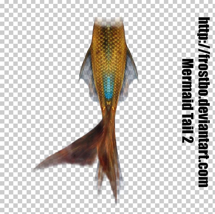 Mermaiding Tail Merman Art PNG, Clipart, Art, Deviantart, Fantasy, Fauna, Finfolk Free PNG Download