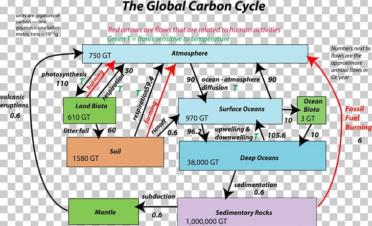 Carbon Cycle Soil Carbon Carbon Dioxide Flux Water Cycle PNG, Clipart, Angle, Antoine Lavoisier, Area, Atmosphere Of Earth, Carbon Free PNG Download