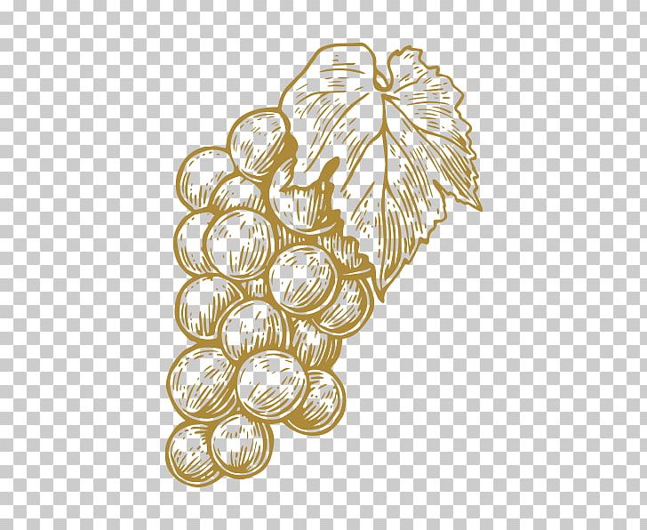 Grape Tequila Distilled Beverage Agave Lapis Lazuli PNG, Clipart, Agave, Distilled Beverage, Fernet, Flowering Plant, Food Free PNG Download