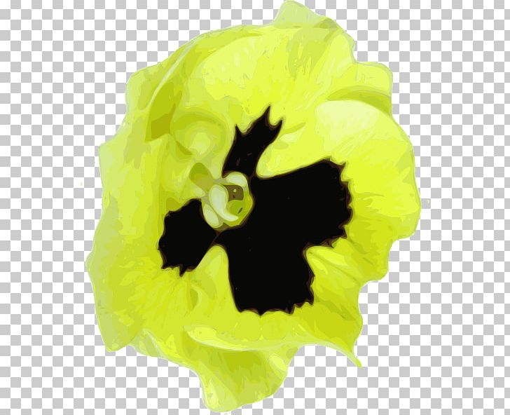 Pansy PNG, Clipart, Flower, Flowering Plant, Leaf, Pansy, Petal Free PNG Download