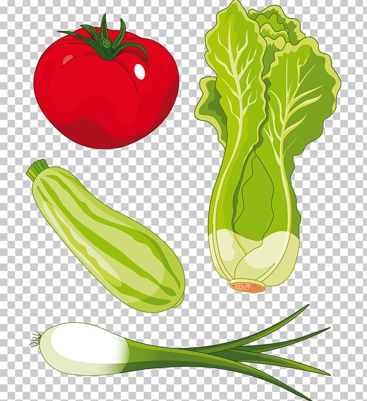 Romaine Lettuce Salad PNG, Clipart, Cabbage, Cartoon, Cucumber Gourd And Melon Family, Food, Fruit Free PNG Download