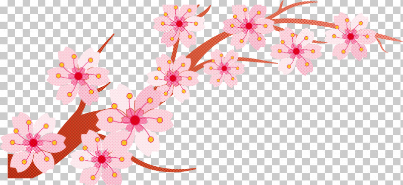 Cherry Blossom PNG, Clipart, Blossom, Branch, Cherry Blossom, Flower, Pedicel Free PNG Download