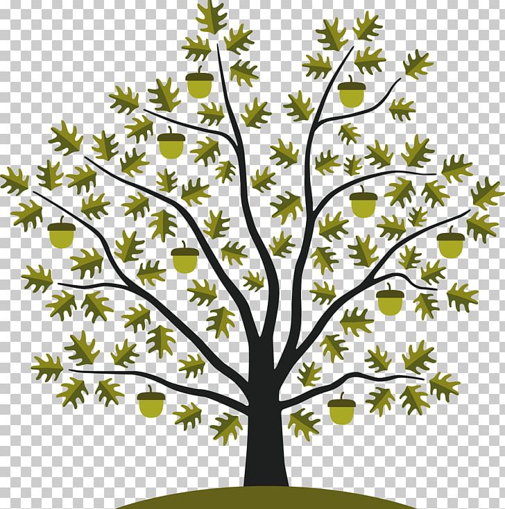Acorn Tree White Oak Seed PNG, Clipart, Acorn, Acorn Tree, Black And White, Branch, Clip Art Free PNG Download