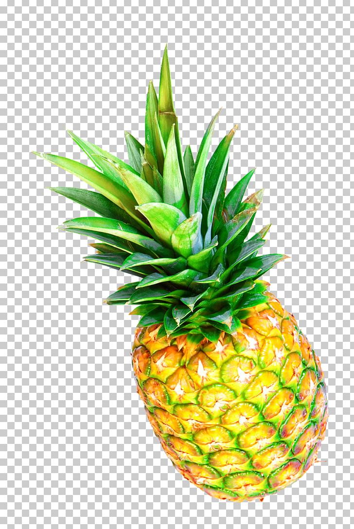 Pineapple Tropical Fruit Photography PNG, Clipart, Ananas, Auglis, Bromeliaceae, Download, Flow Free PNG Download