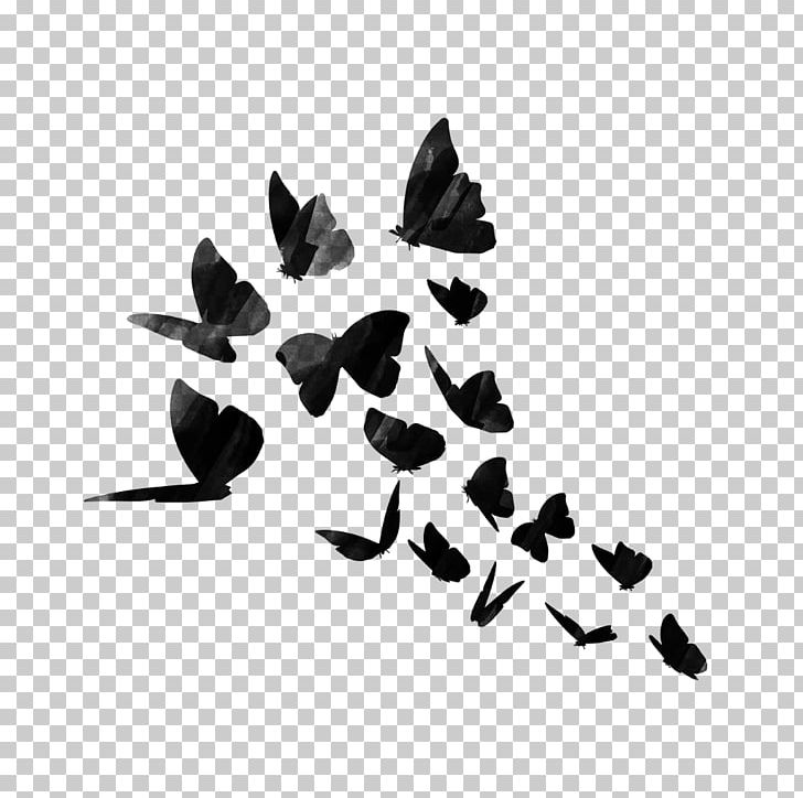 Sticker PicsArt Photo Studio Decal Editing PNG, Clipart, Angle, Black,  Black And White, Butterfly, Decal Free