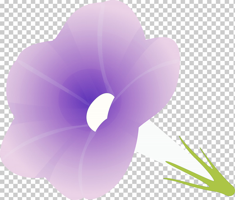 Morning Glory Flower PNG, Clipart, Crocus, Flower, Herbaceous Plant, Morning Glory, Morning Glory Flower Free PNG Download