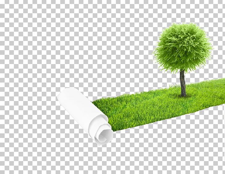 Battery Charger Light Solar Panel Solar Energy Solar Cell PNG, Clipart, Capteur Solaire Photovoltaxefque, Christmas Tree, Creative Creative, Family Tree, Grass Free PNG Download