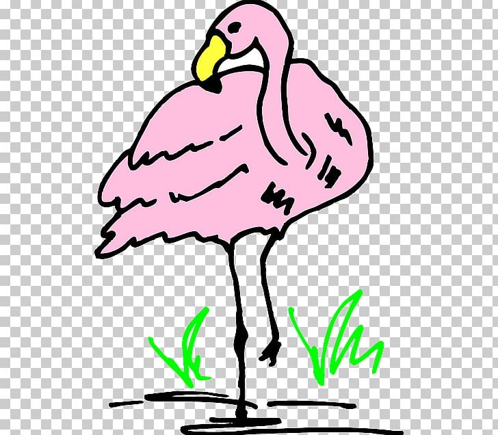 Graphics Flamingo Cartoon PNG, Clipart, Art, Artwork, Beak, Bird, Black And White Free PNG Download