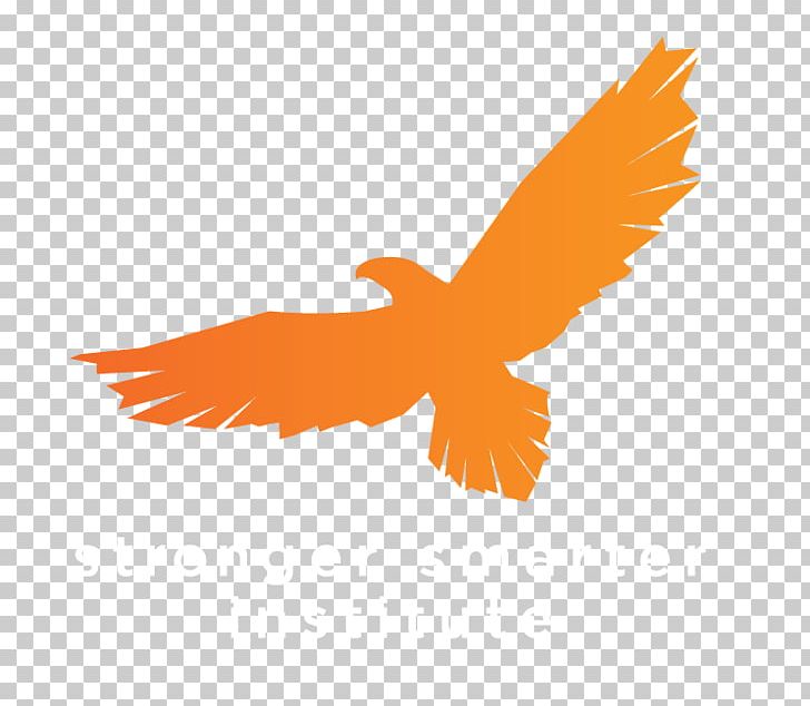 Stronger Smarter Institute Indigenous Australians Education School Indigenous Peoples PNG, Clipart, Aboriginal, Beak, Bird, Bird Of Prey, Eagle Free PNG Download