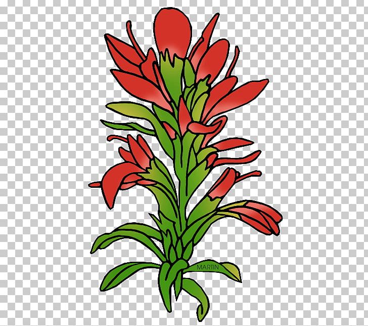 Wyoming Paintbrush Castilleja Linariifolia PNG, Clipart, Artwork, Bluebonnet, Castilleja Linariifolia, Castilleja Miniata, Cut Flowers Free PNG Download