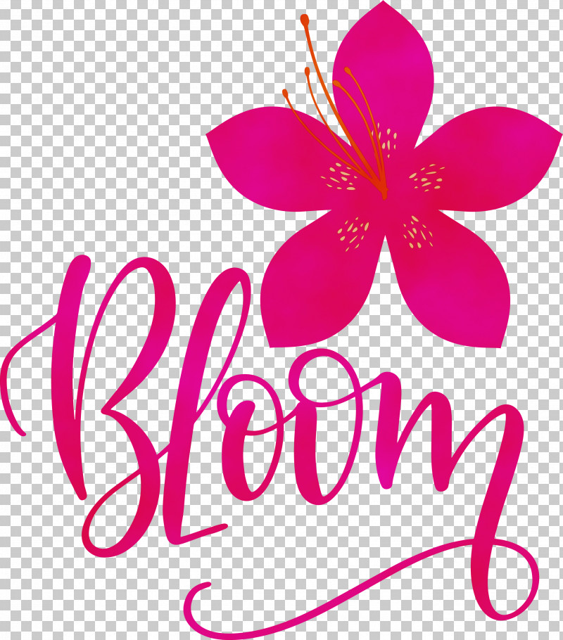 Garden Roses PNG, Clipart, Bloom, Borotalco, Deodorant, Flower, Garden Roses Free PNG Download