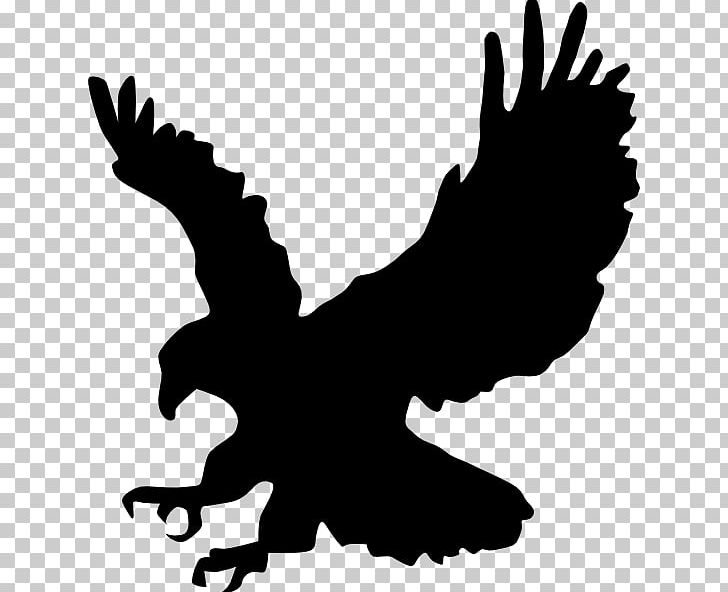 Bald Eagle Silhouette PNG, Clipart,  Free PNG Download