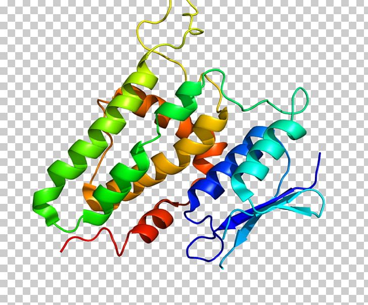 CLIC2 Protein Gene Human Chloride Channel PNG, Clipart, Area, Artwork, Chloride, Chloride Channel, Clic Free PNG Download
