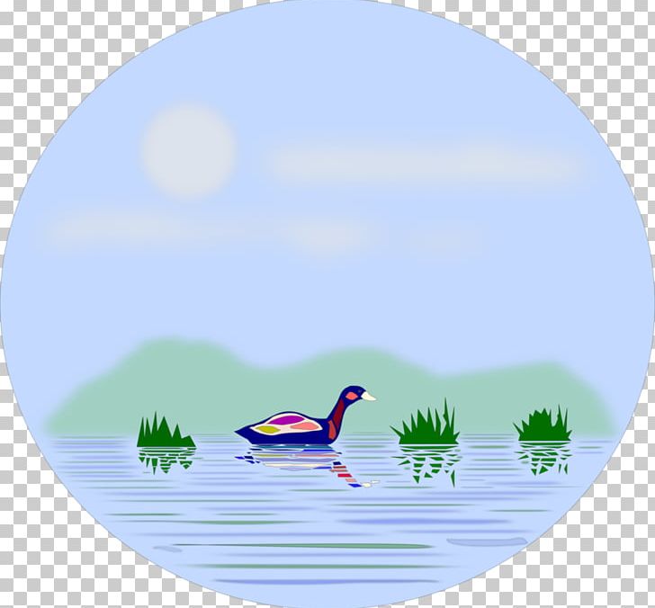 Illustration Ecosystem Water Resources Drawing PNG, Clipart, Beak, Bird, Calm, Computer Wallpaper, Desktop Wallpaper Free PNG Download
