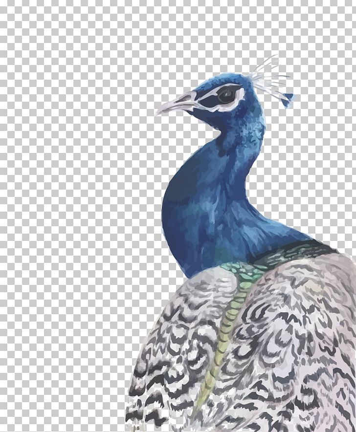 Peafowl Watercolour Flowers Watercolor: Flowers Watercolor Painting PNG, Clipart, Animals, Asiatic Peafowl, Bird, Blue, Fauna Free PNG Download