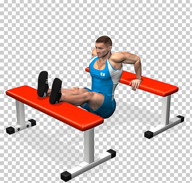 Dip Bench Press Triceps Brachii Muscle Lying Triceps Extensions PNG, Clipart, Angle, Arm, Balance, Bench, Bench Press Free PNG Download
