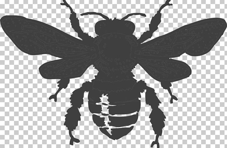 Queen Bee PNG, Clipart, Arthropod, Bee, Beehive, Black And White, Blog Free PNG Download