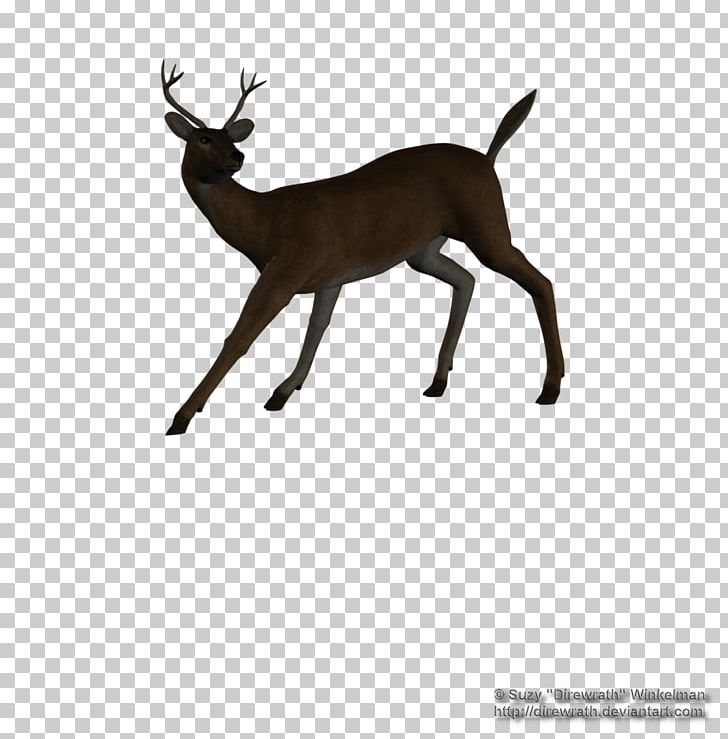 Reindeer White-tailed Deer Elk Antelope PNG, Clipart, Animal, Antelope, Antler, Cartoon, Deer Free PNG Download