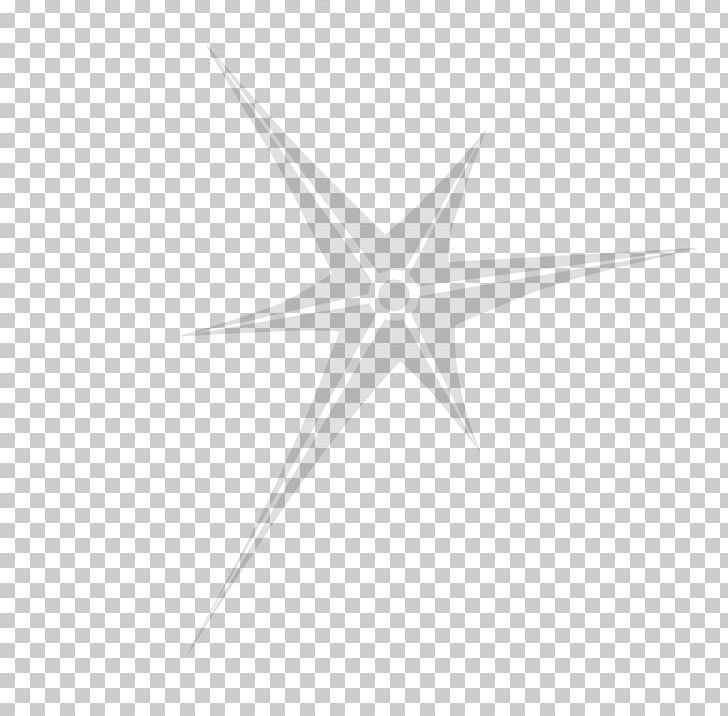 White Point Angle Invertebrate Symmetry PNG, Clipart, Angle, Animal, Black And White, Invertebrate, Line Free PNG Download