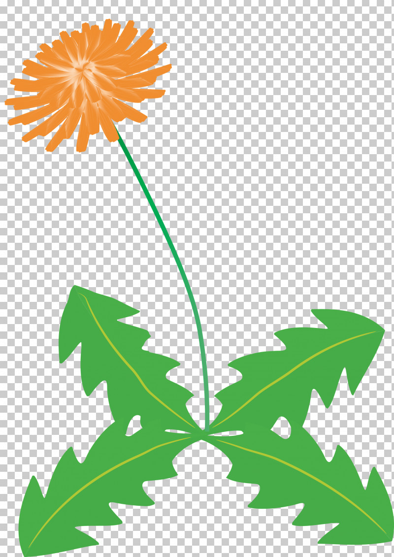 Dandelion Flower PNG, Clipart, Arums, Branch, Daisy Family, Dandelion Flower, Floral Design Free PNG Download
