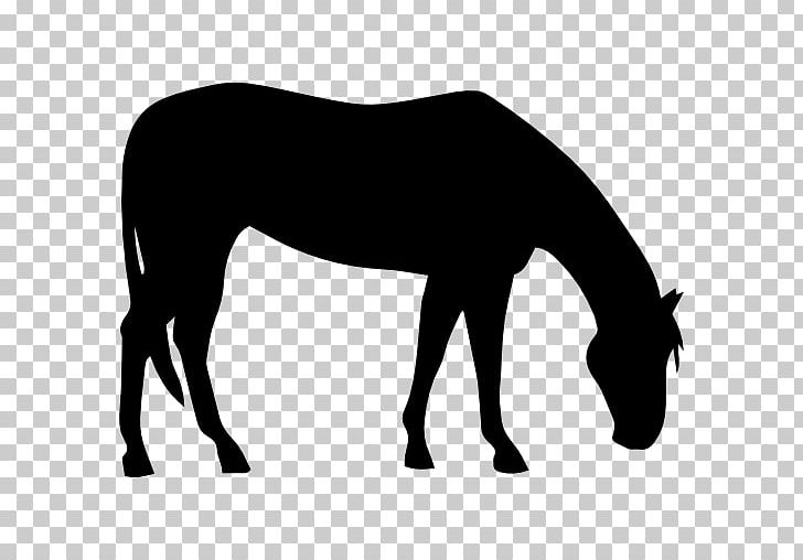 American Quarter Horse American Paint Horse Silhouette PNG, Clipart, American Paint Horse, Animals, Black, Collection, Colt Free PNG Download