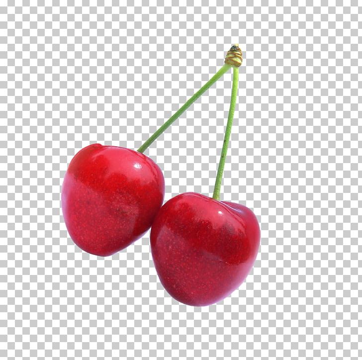 Cherry Fruit PNG, Clipart, Acerola, Acerola Family, Berry, Cherry, Food Free PNG Download
