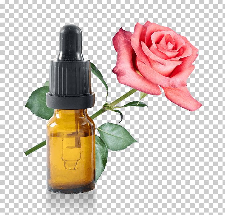 Lotion Cosmetics Herbal Distillate Rose Water Garden Roses PNG, Clipart, Aromatherapy, Bottle, Cosmetics, Damask Rose, Essential Oil Free PNG Download