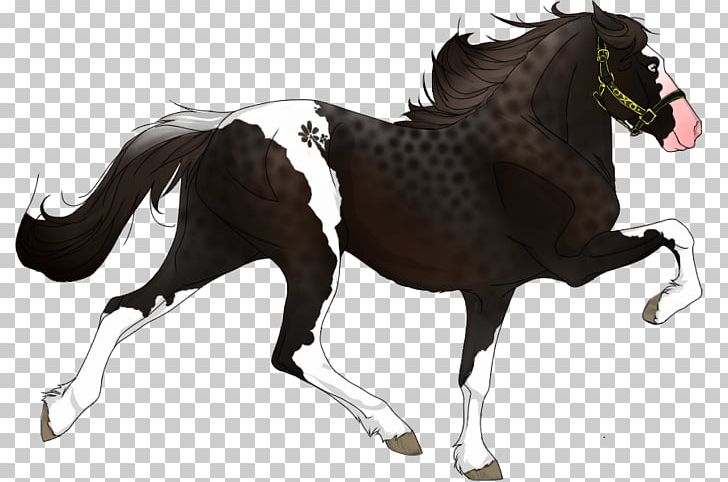 Mustang Pony Appaloosa Stallion Mare PNG, Clipart, Appaloosa, Bit, Bridle, Equine Anatomy, Fictional Character Free PNG Download