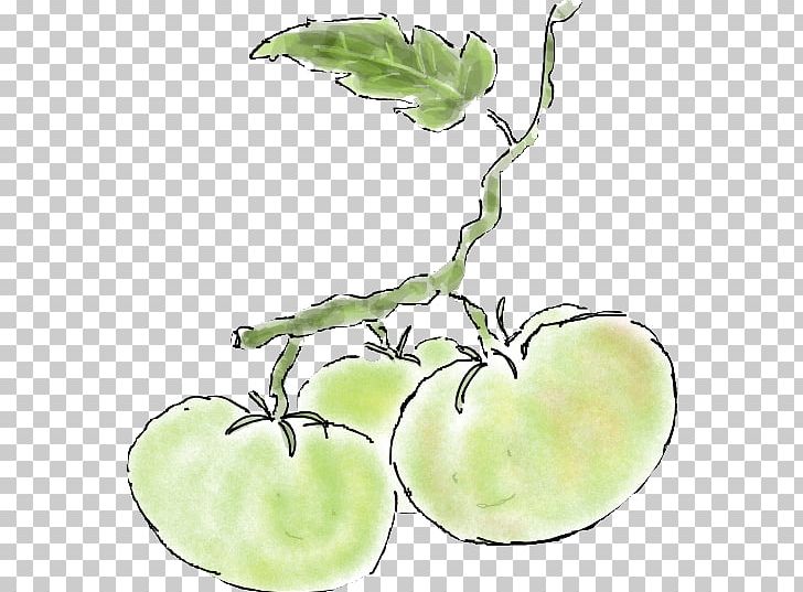 Plant Stem Leaf Vegetable Flower Apple PNG, Clipart, Apple, Branch, Branching, Commodity, Flower Free PNG Download