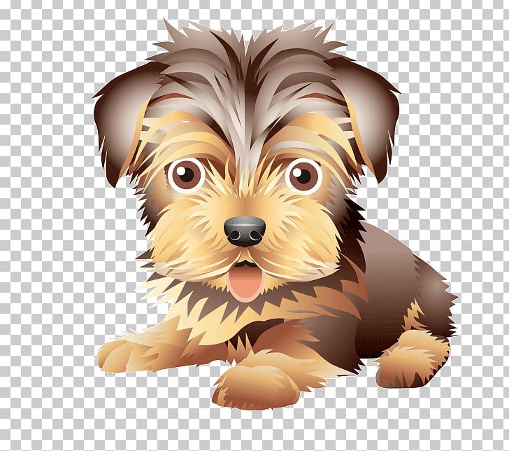 Yorkshire Terrier Morkie Australian Silky Terrier Puppy Norwich Terrier PNG, Clipart, Animals, Australian Silky Terrier, Australian Terrier, Cairn Terrier, Carnivoran Free PNG Download