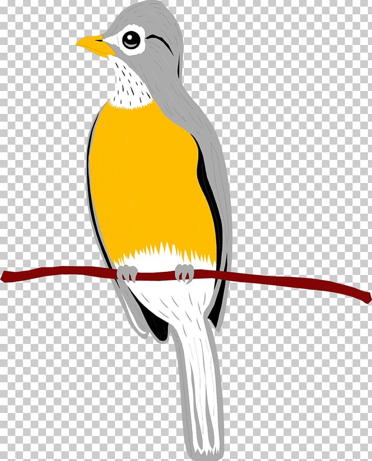 Bird Wing Penguin PNG, Clipart, Animal, Animals, Beak, Bird, Fauna Free PNG Download