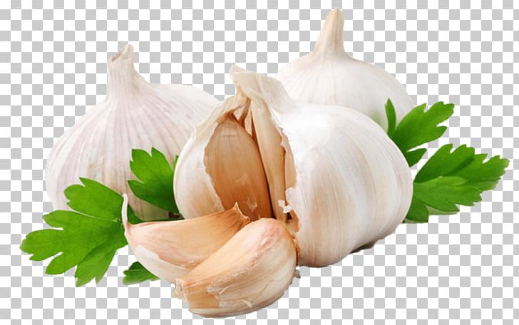 Garlic Vegetable Food PNG, Clipart, Alternative Medicine, Clip Art, Computer Icons, Food, Garlic Free PNG Download